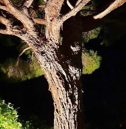 Διαμέρισμα Villarama